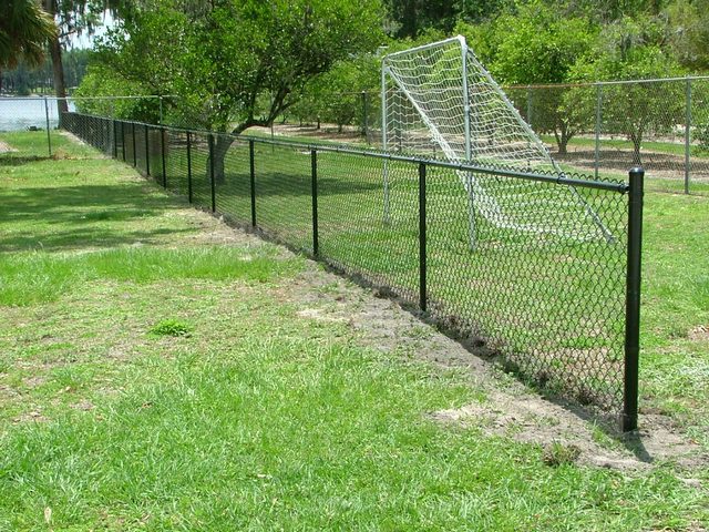 Chain Link Fence