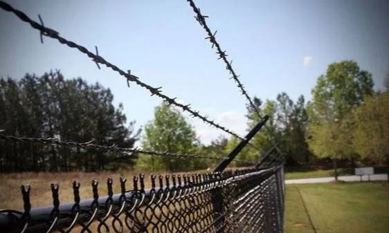 Chain Link Fence