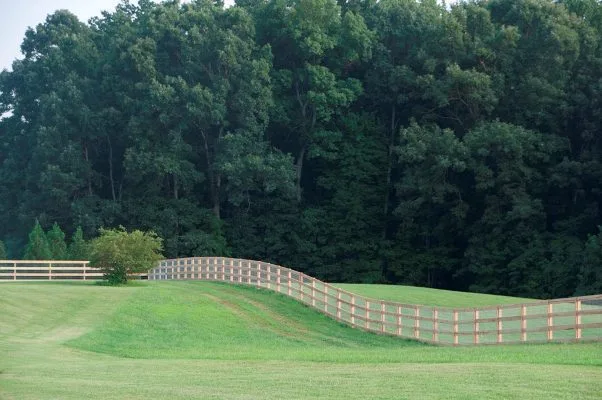 Wood Fence