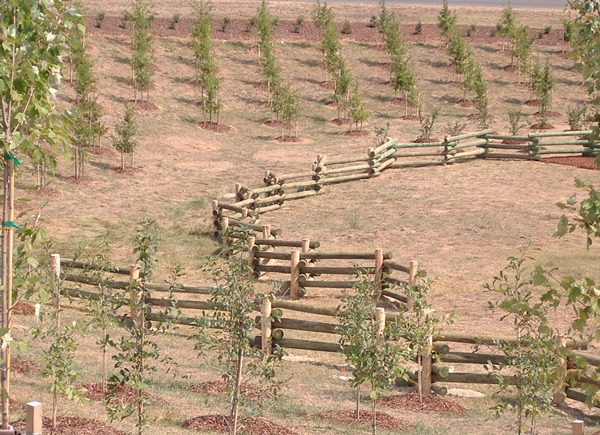 Wood Fence