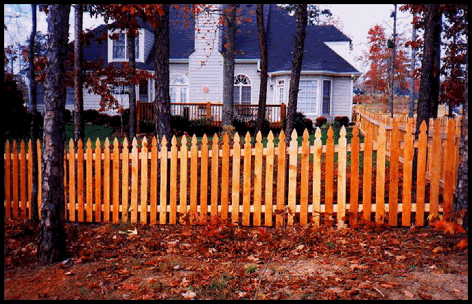 Wood Fence