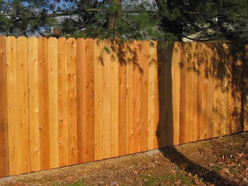 Fence Staining