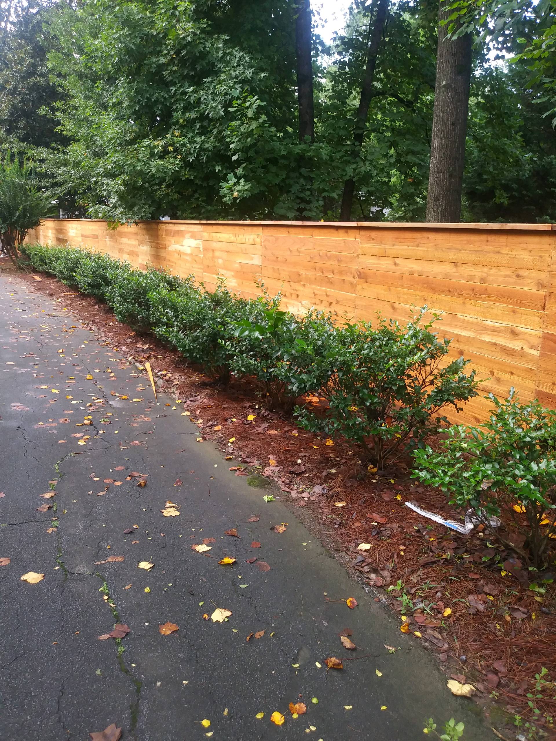 Fence Staining